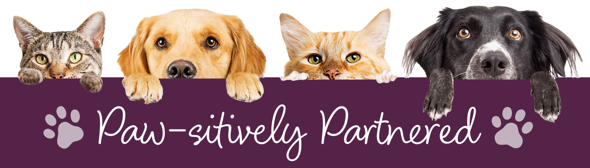 Paw-sitively Partnered