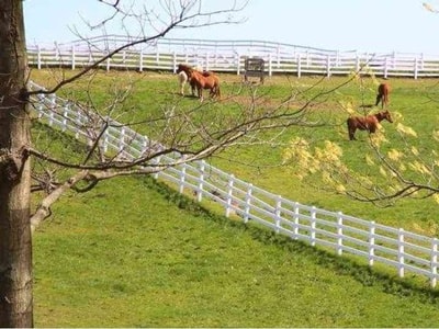 Peters Township