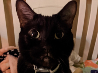 Minnie