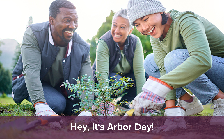 Hey, It's Arbor Day!