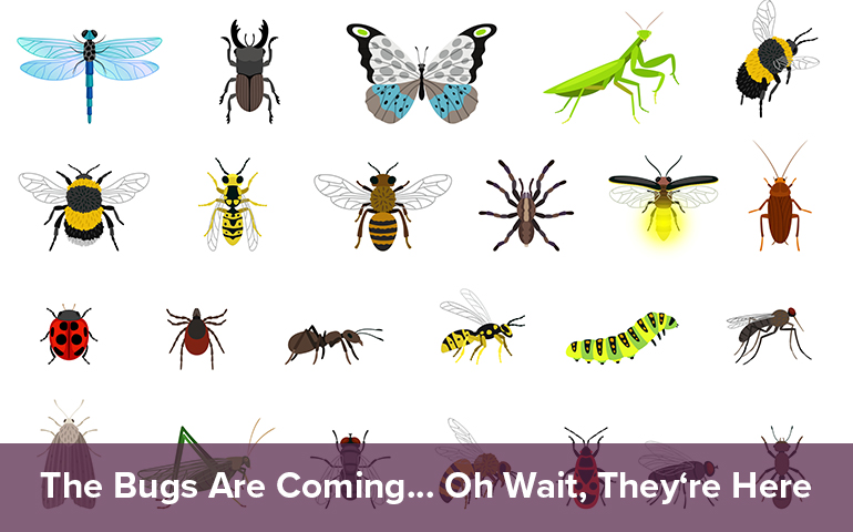 The Bugs Are Coming... Oh Wait, They're Here
