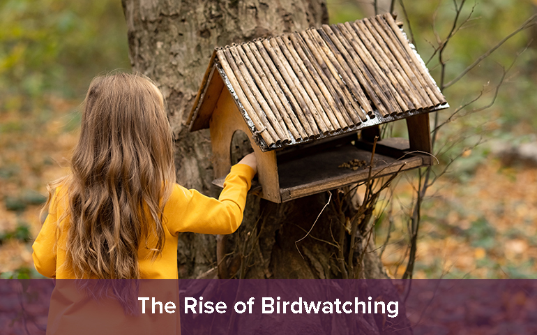 The Rise of Birdwatching
