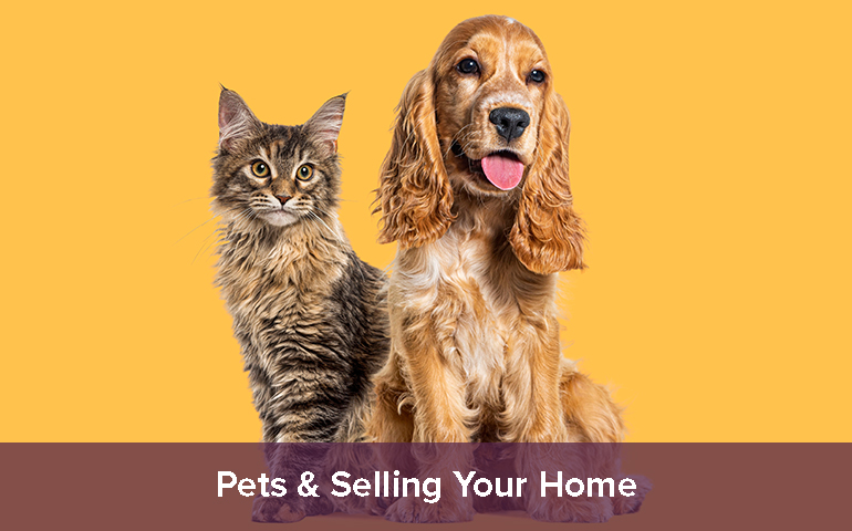 Pets & Selling Your Home