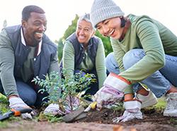 Hey, It's Arbor Day!