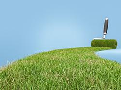 Should I Paint My Lawn to Entice Buyers?
