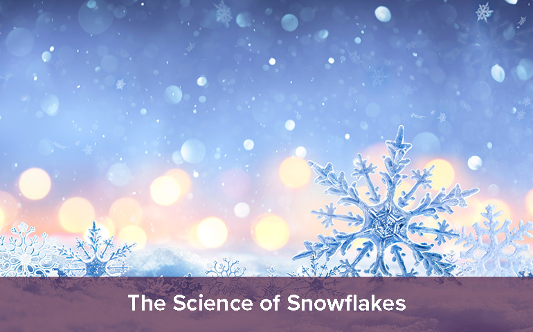 The Science of Snowflakes